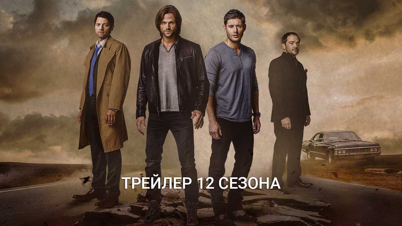 Постер 12 сезон