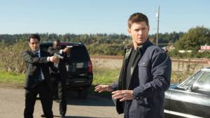 Полный писец