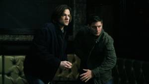 Человек собаке друг... и даже больше