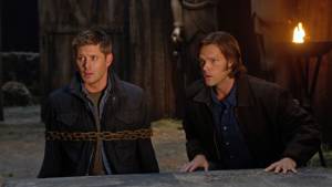 Защищая свою жизнь