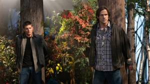 Не сотвори себе кумира