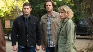 Почтить память Эйсы Фокса