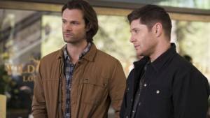 Дамам выпивка бесплатно