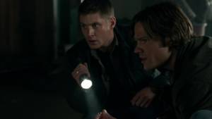 Желтая лихорадка